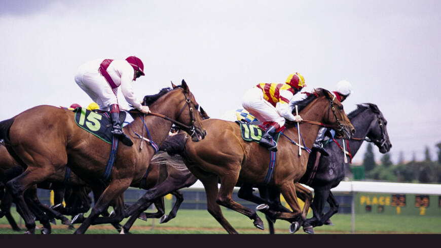 Club Kildare Punchestown Race Day